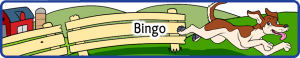 Bingo Small